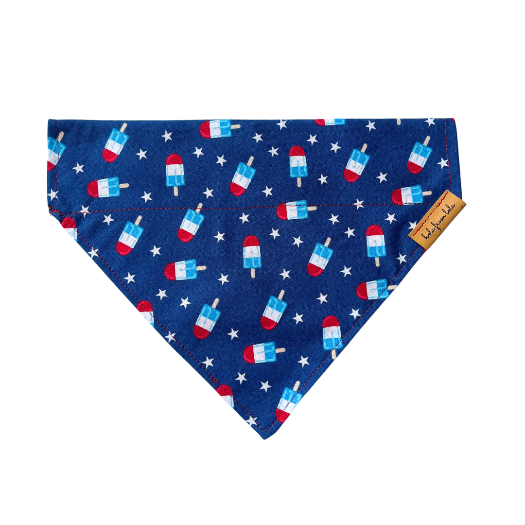 Patriotic Pupsicle