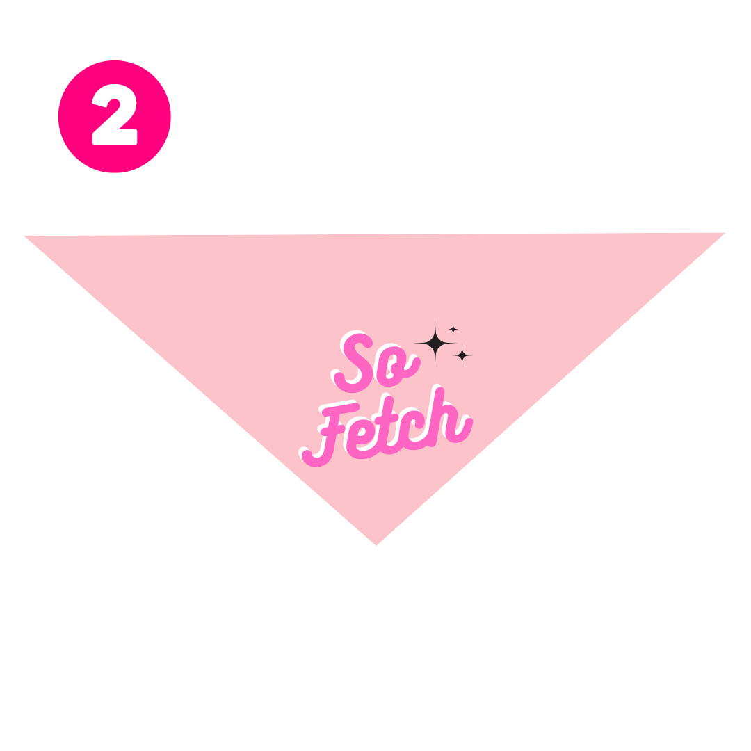 Mean Girls Bandanas