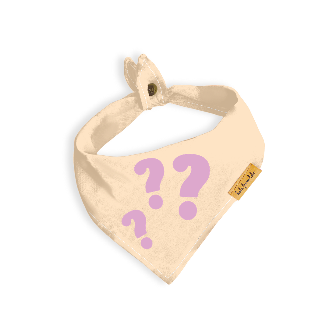 Mystery Bandana ✨