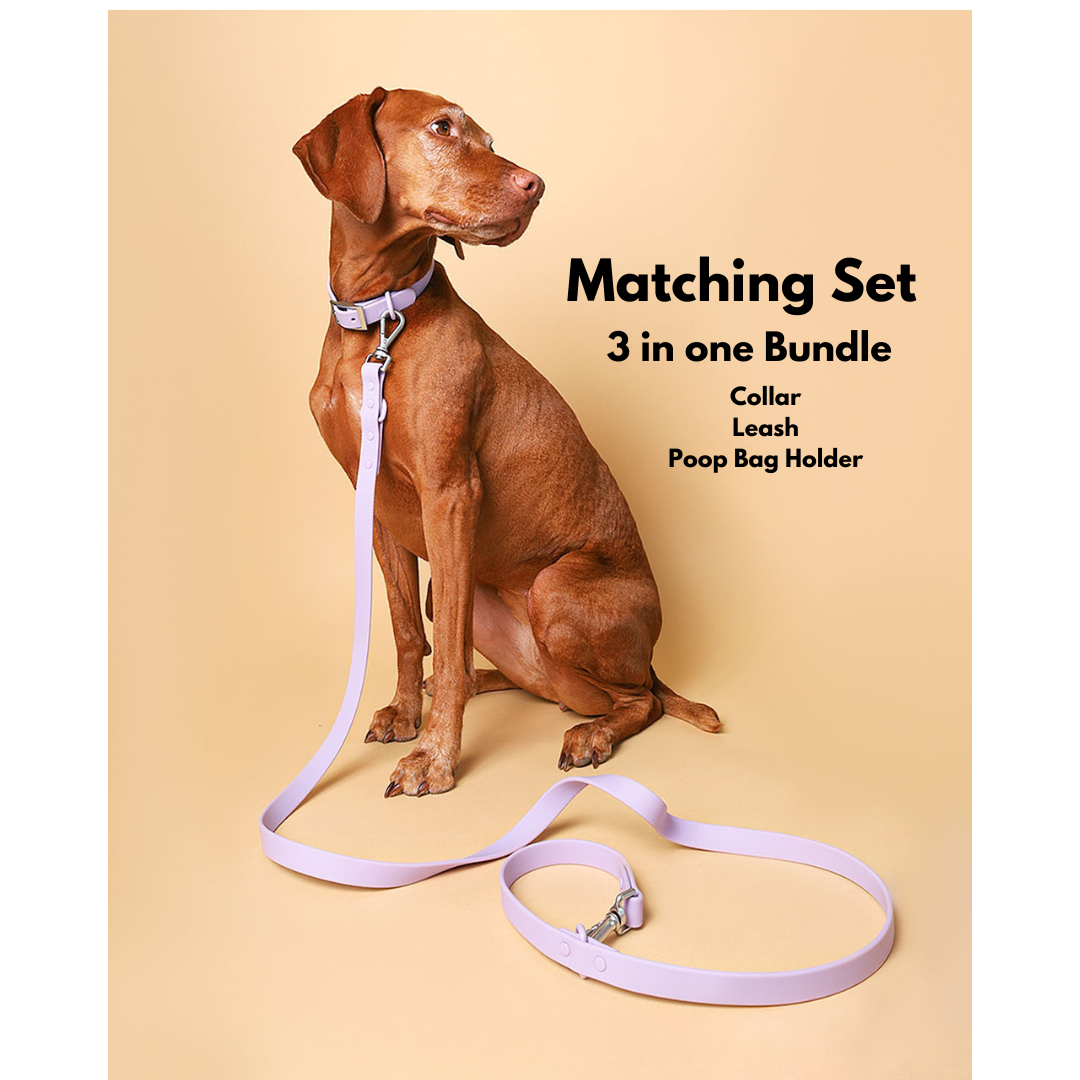 Walk Bundle