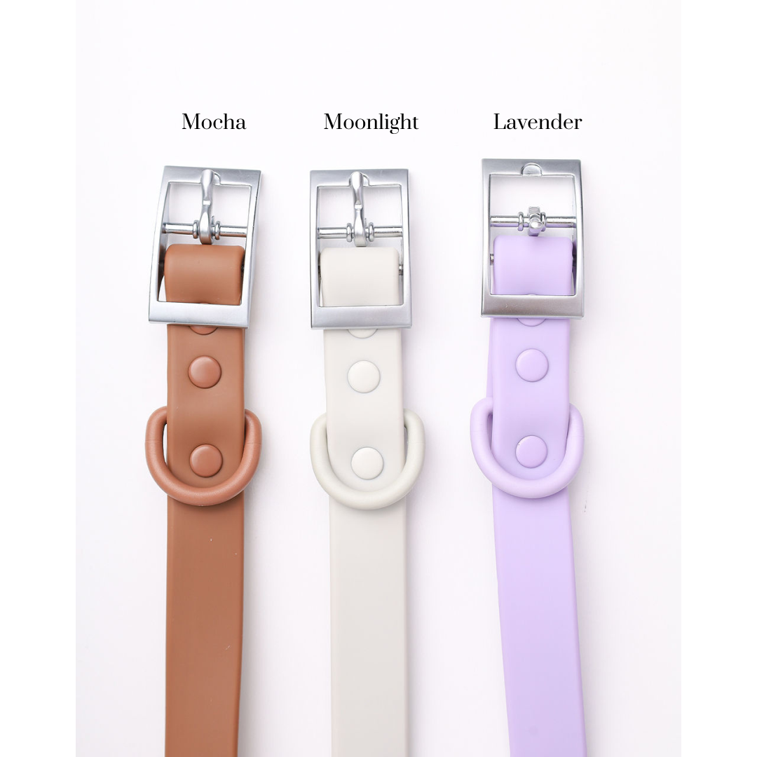 Walk Bundle