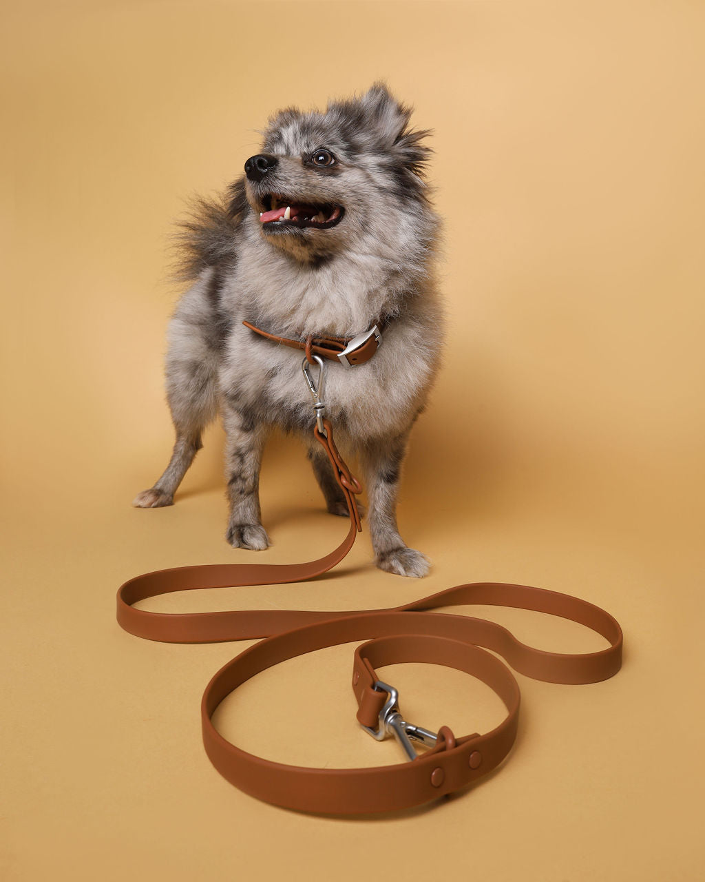 Everyday Waterproof Leash