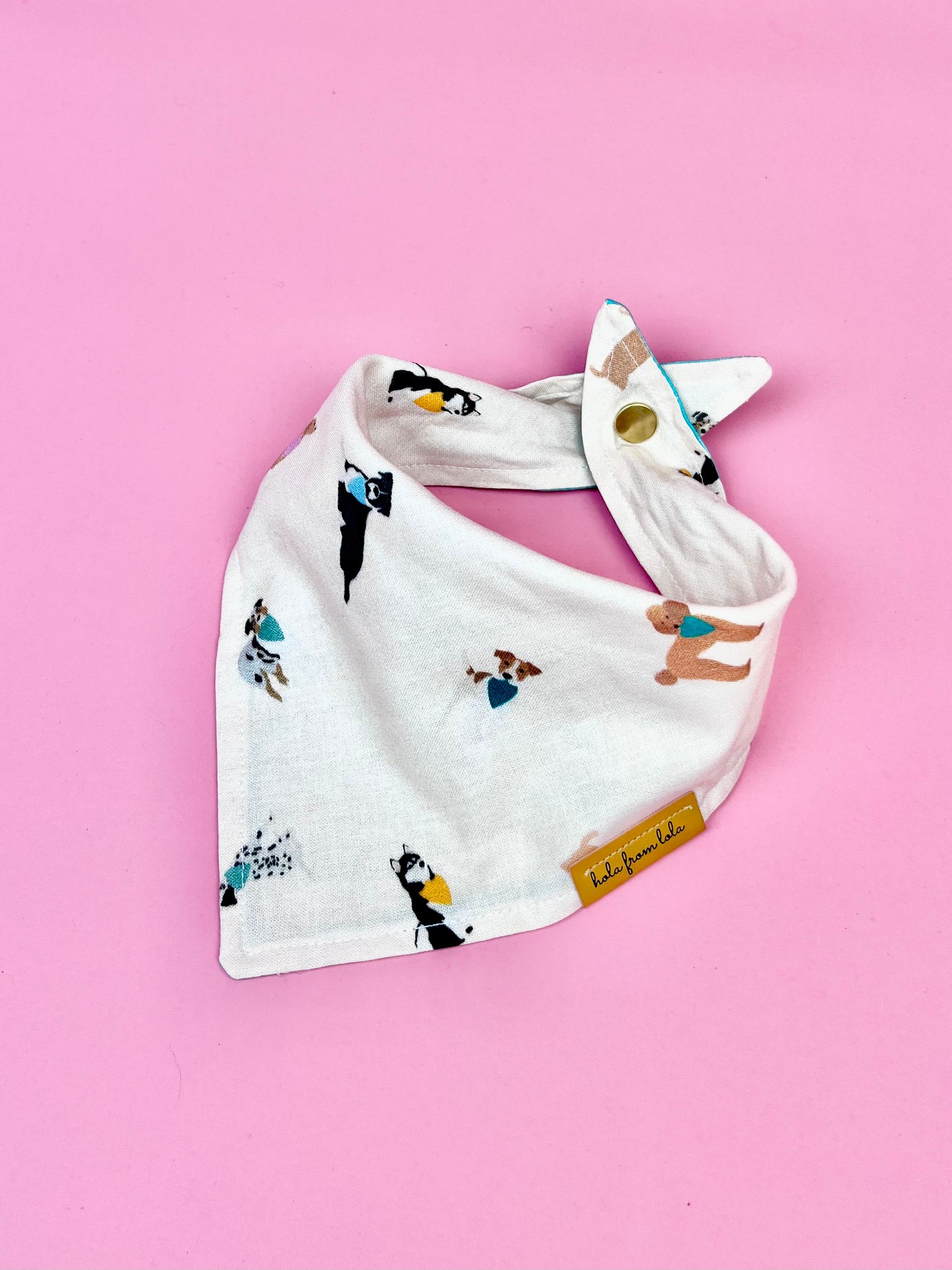 Collab Bandana