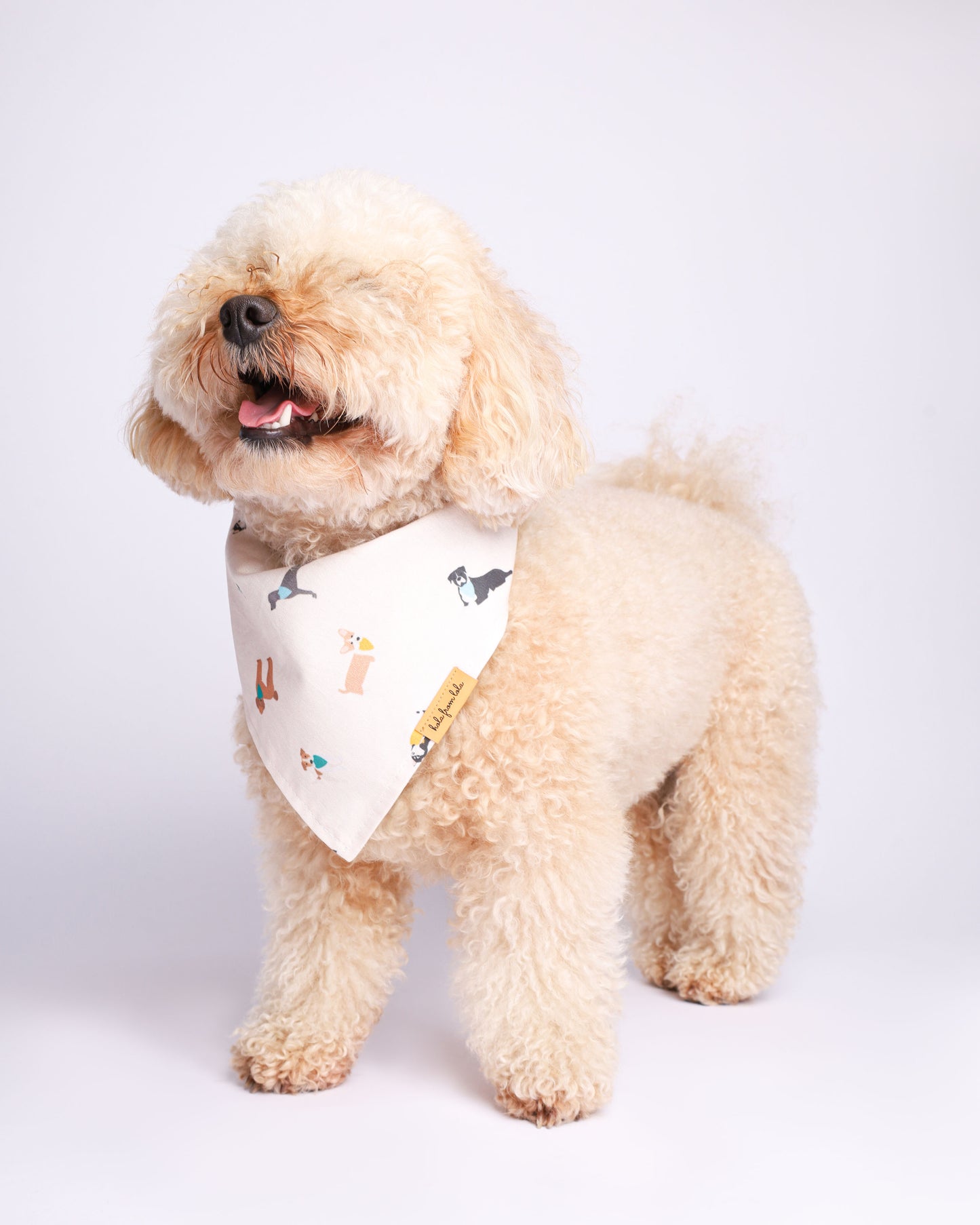 Collab Bandana