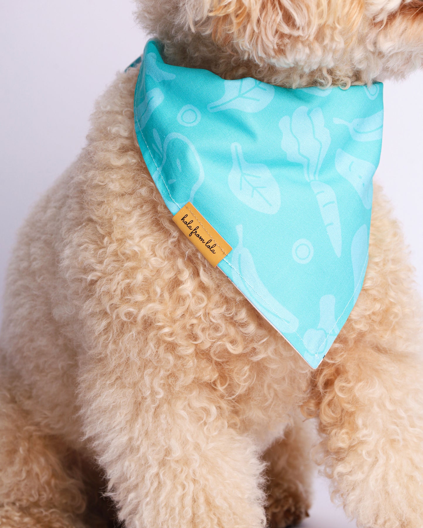 Collab Bandana