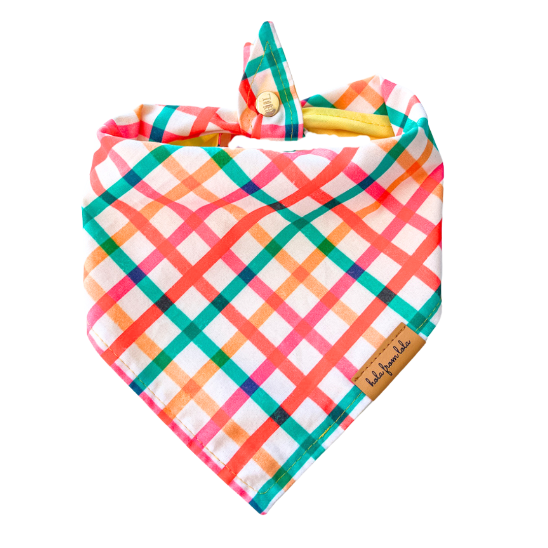 Gingham Galore