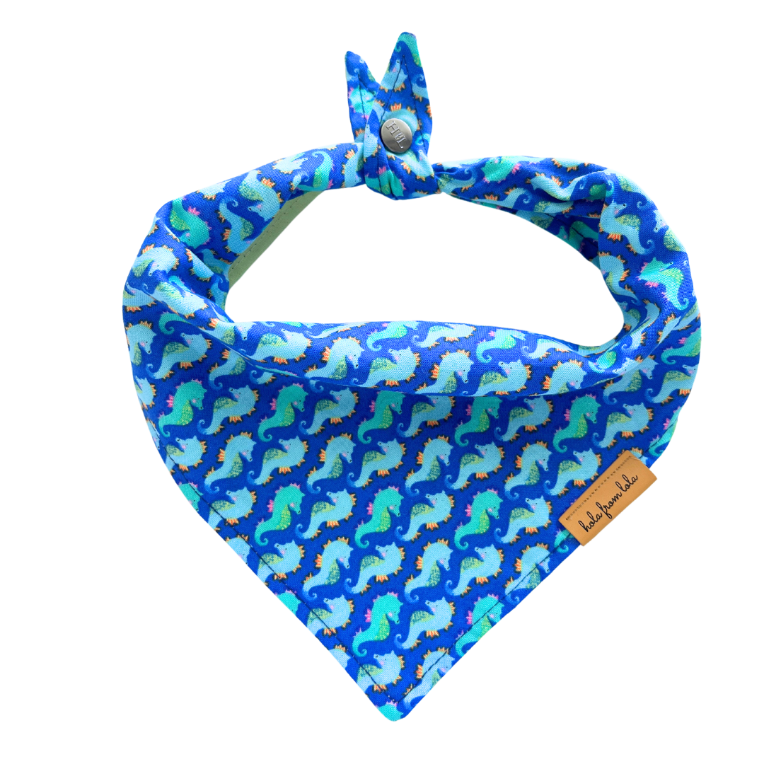 Seahorsin' Around