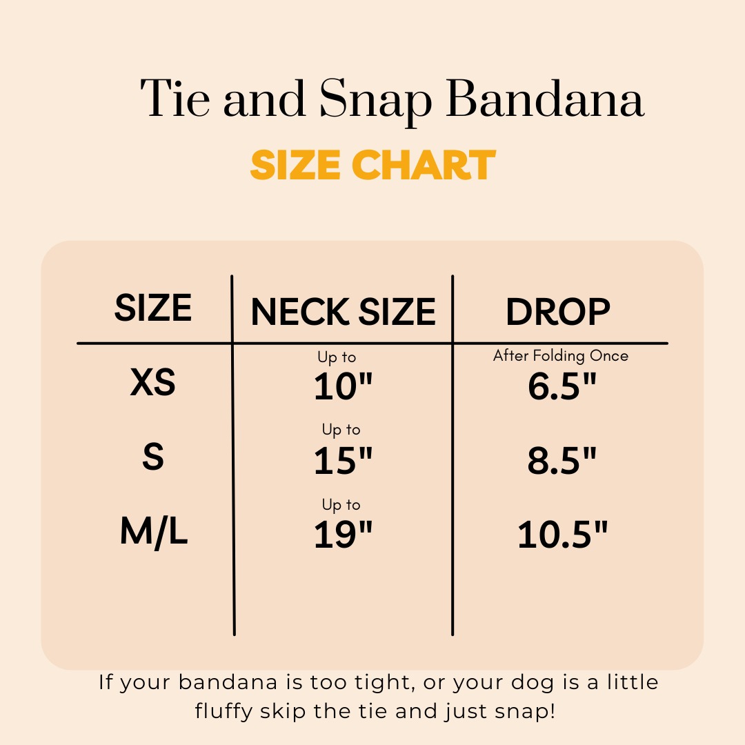 Collab Bandana