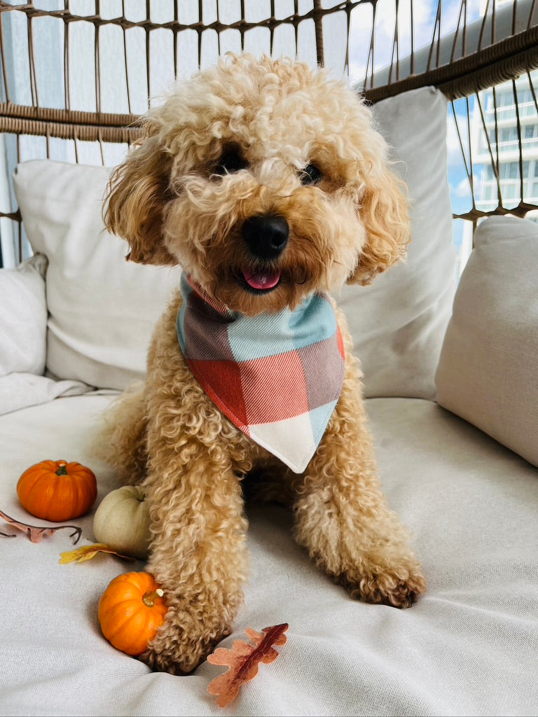Orange and Blue Flannel