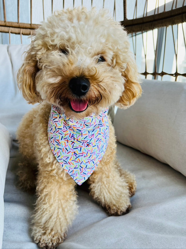 Rainbow Sprinkles