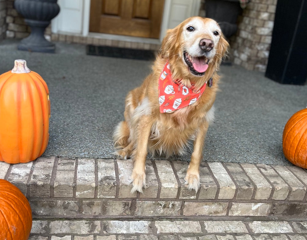 PSL