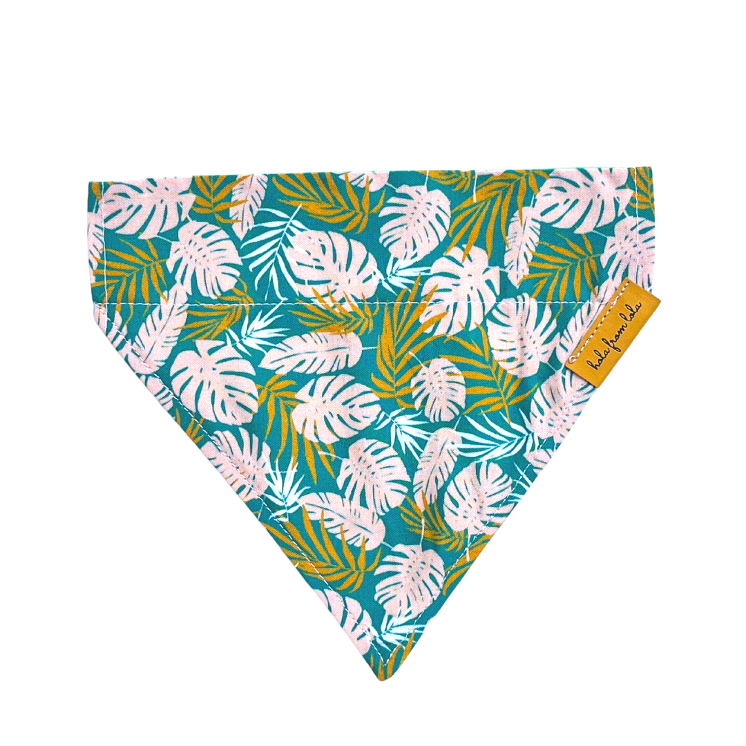 Tropic Like it's Hot
