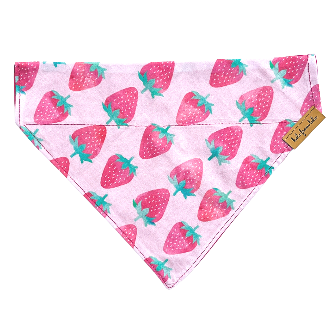 Strawberry Bandana