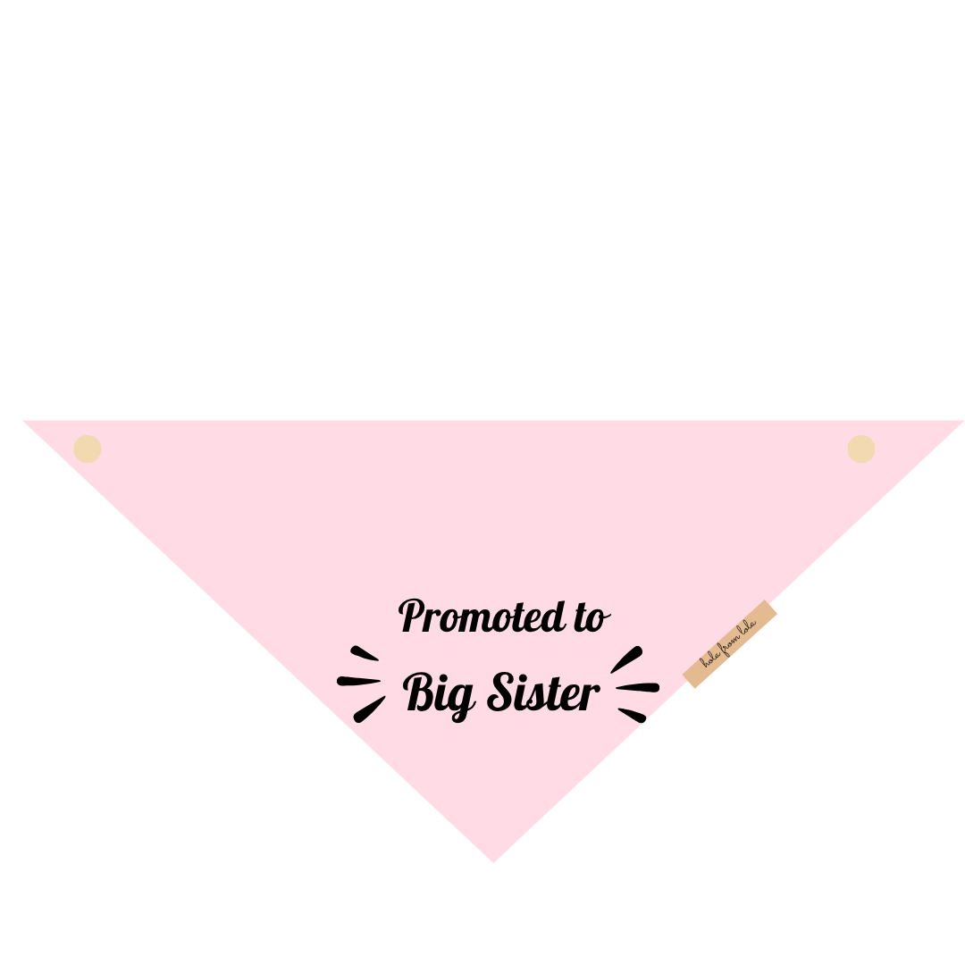 Big Sister Bandana