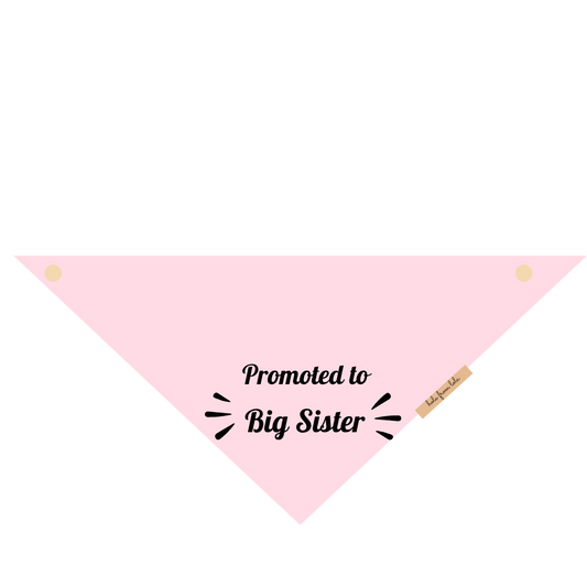 Big Sister Bandana